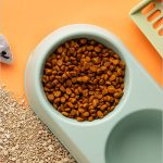 Lumb flavored dry food