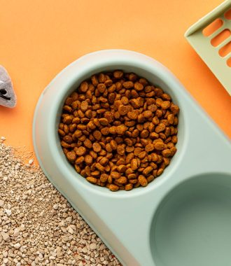 Lumb flavored dry food